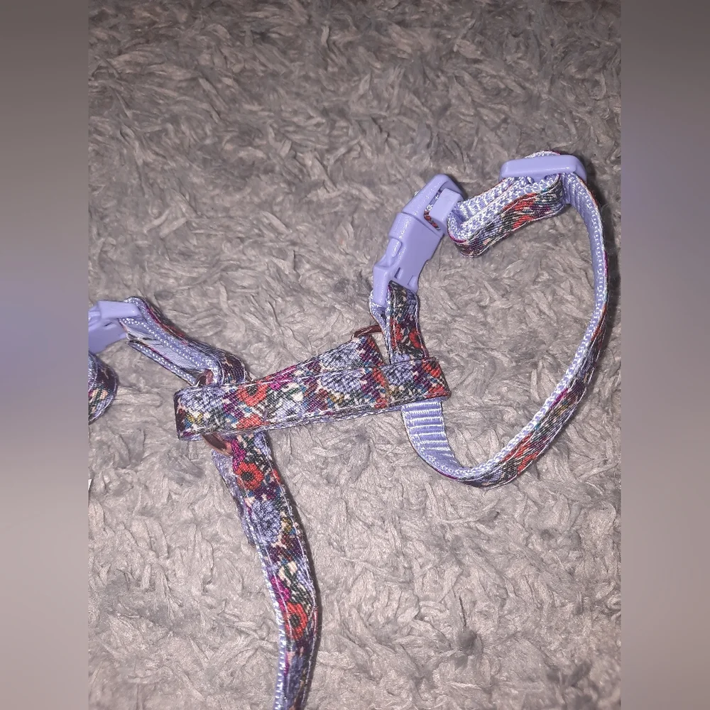 Pet harness